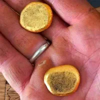 آموزش دوره بازیافت طلا بردهای الکتریکی تضمینی|خدمات آموزشی|قم, شهرک مهدیه (مدرس)|دیوار