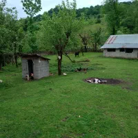 زمین مسکونی  نسق