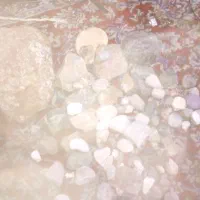 سنگهای.قیمتیواسکناسهای.قدیمی.وسکه