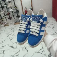 کتونی|کیف، کفش، کمربند|لنگرود, |دیوار