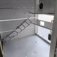 قفس خفر|لوازم جانبی حیوانات|شیراز, فرودگاه شهید دستغیب شیراز|دیوار