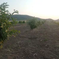 دشت بیلو. منطقه آزاد|فروش خانه و ویلا|خاو و میرآباد, |دیوار