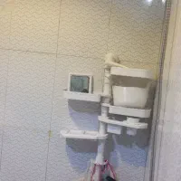 زون ۵ بلوک ۲۱|اجارهٔ آپارتمان|پردیس, فاز ۱۱|دیوار