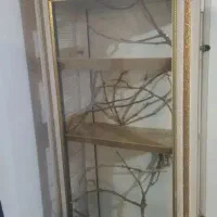 قفس عروس هلندی فنچ مرغ عشق کوتوله برزیلی