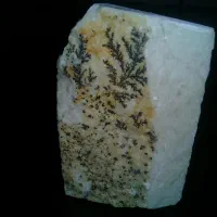 سنگ شجر عتیقه وکلکسیونی قدمت دار