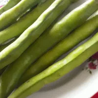 باقلا مازندرانی