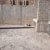 خانه نیمه ساز|فروش زمین و ملک کلنگی|مهریز, |دیوار