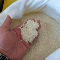 برنج محلی درجه ۱ علی کاظمی