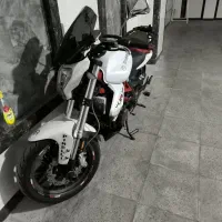 بنلی ۳۰۰جفت وارداتی