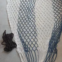 ننودرختی طنابی