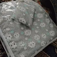 پشه بند