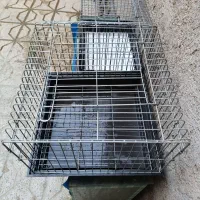 قفس خرگوش