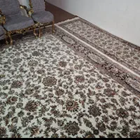 فرش|فرش|مشهد, دانشجو|دیوار