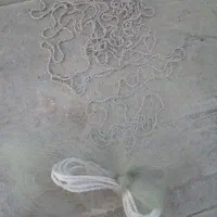 تور ماهیگیری