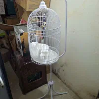 قفس پرنده