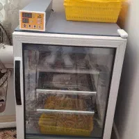 دستگاه جوجه کشی