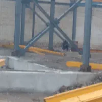 نیروی جوشکار