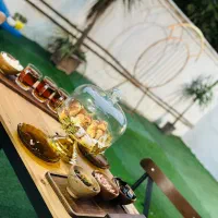 اجاره تمامی لاین زیبایی|خدمات آرایشگری و زیبایی|ساری, |دیوار