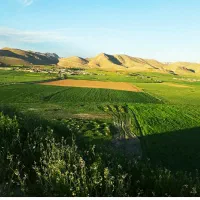 زمین برا اجاره در واشیان میخوام