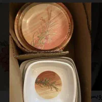 سرویس ملامین