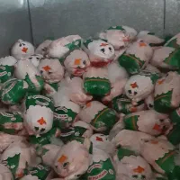 مرغ کشتار روز تهران|خوردنی و آشامیدنی|تهران, گرگان|دیوار