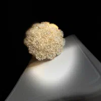 دست گل نامزدی|گل مصنوعی|رودسر, |دیوار