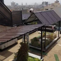 سقف شیب دار آلاچیق شیروونی