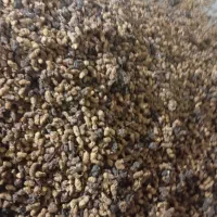 توت خشک|خوردنی و آشامیدنی|اهر, |دیوار