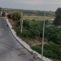 واحد ویو جنگل و رودخانه سیاهرود مسکن مهر میارکلا|فروش آپارتمان|ساری, |دیوار
