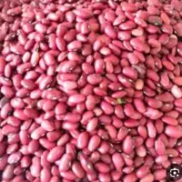 کاه لوبیا قرمز