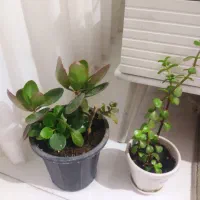 وسایل منزل|حراج|تبریز, |دیوار