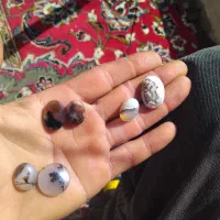 چندتا سنگ شجر معدنی به فروش می‌رسد