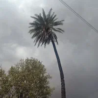 مدارک گم شده