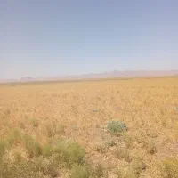 زمین فروشی دوکله