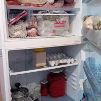 یخچال|یخچال و فریزر|فامنین, |دیوار