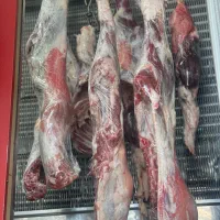 گوسفندزنده  وگوشت گوسفندی کشتارروز|حیوانات مزرعه|شیراز, کرونی(خاتونک)|دیوار