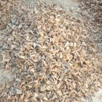 پوشال و خاک اره چوب طبیعی