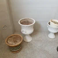 گلدان سفالی و پلاستیکی