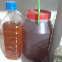 خوردنی|خوردنی و آشامیدنی|شاهین دژ, |دیوار