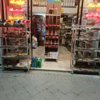 دو عدد استند فلزی ۵طبقه