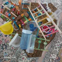 فروش قفس و وسایل جانبی و پایه و ساک مسافرتی