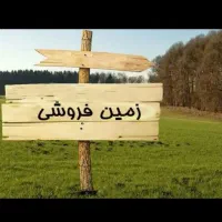 200قسب زمین پسته حمیدیه زرند