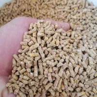 دان مرغ تخمگذار پلت