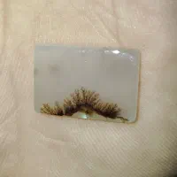 نگین انگشتر شجر