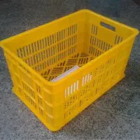 سبد میوه قیمت کارخانه|ظروف نگهدارنده، پلاستیکی، یک‌بارمصرف|قائم‌شهر, |دیوار