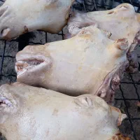 کله و پاچه  پاک کنی صنعتی