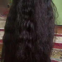 کوتاهی