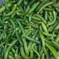 خیار مجلسی و خیارشوری