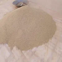 بذر|گل و گیاه طبیعی|کوهدشت, |دیوار