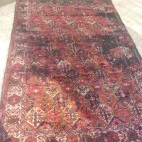 فرش دستباف قدیمی|فرش|خمینی‌شهر, |دیوار